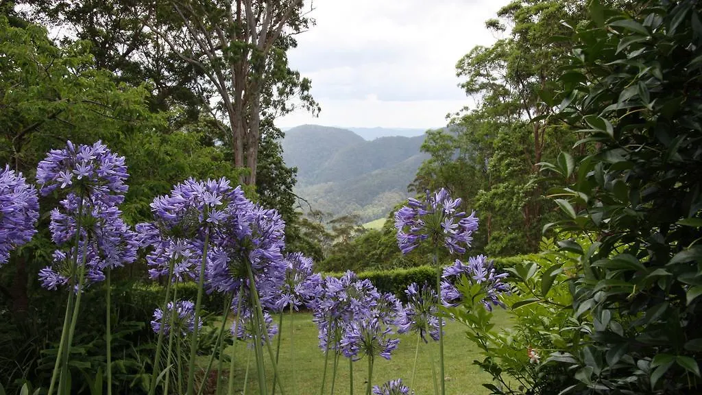 Mapleton Falls Accommodation