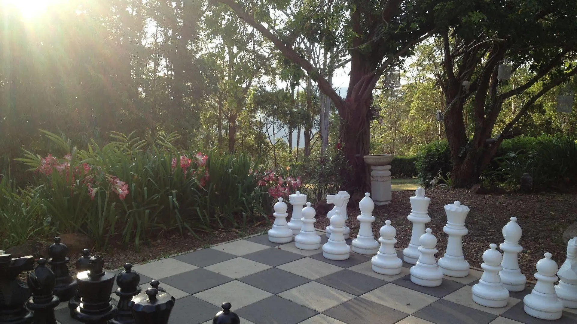 아파트호텔 Mapleton Falls Accommodation